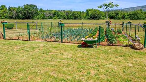 Ein umzäunter Garten mit Schubkarre, einer grünen Struktur und verschiedenen Pflanzen.