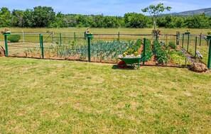 A fenced garden with a wheelbarrow, a green structure, and a variety of plants. - Lovely home in Gradac (Gradac)