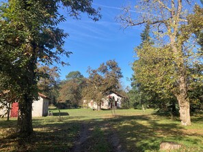 Property grounds - A vacation rental surrounded by nature in the Landes Forest (Meilhan)
