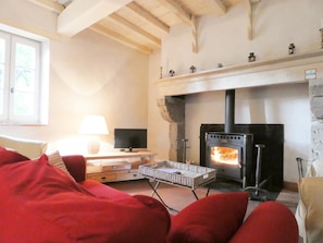 TV, fireplace, books, stereo - A vacation rental surrounded by nature in the Landes Forest (Meilhan)