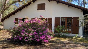 A white building with brown shutters and a small porch. - Charming country house between the forest and the ocean - Contis (Lit-et-Mixe)