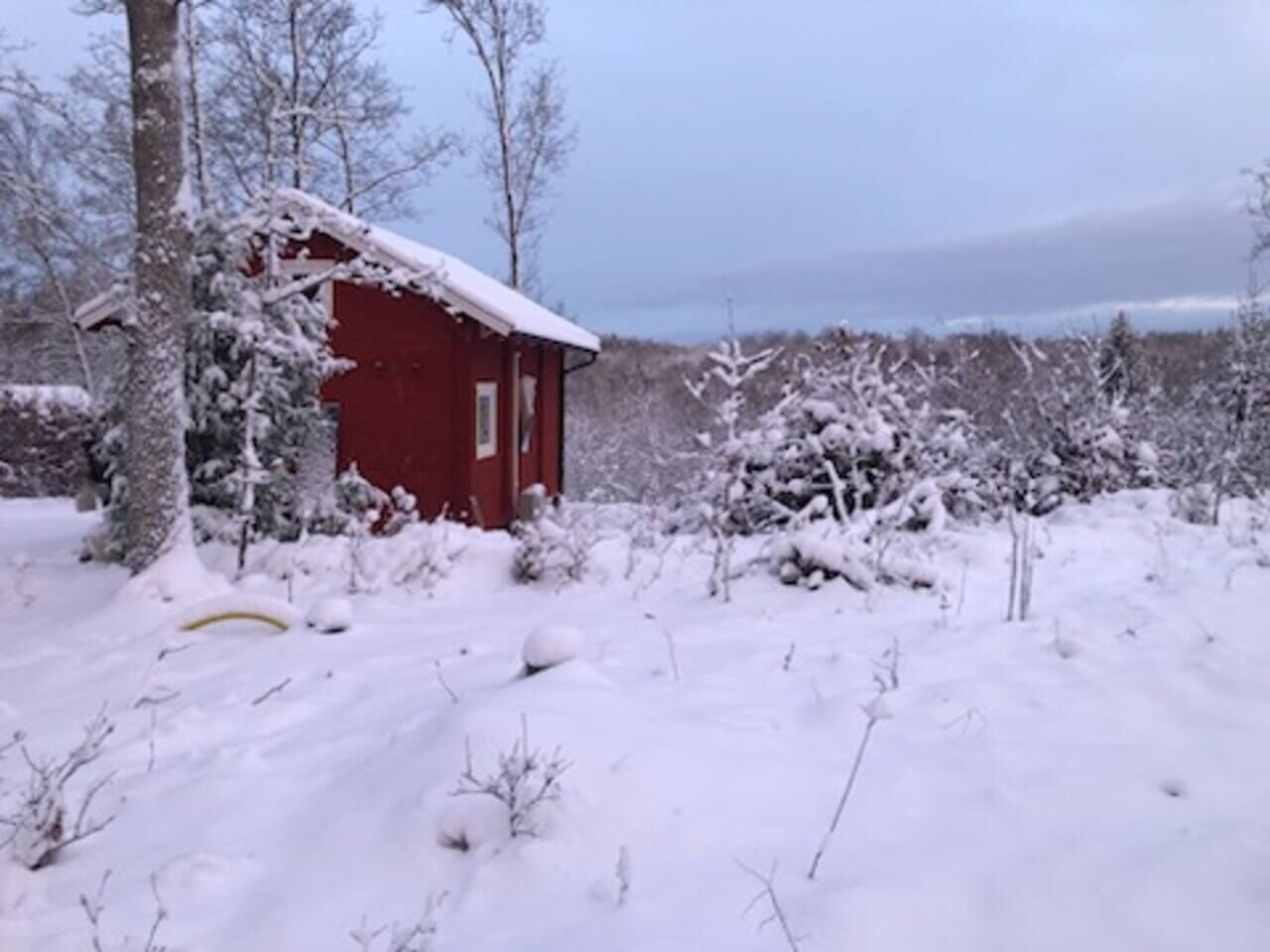 Udendørsområde