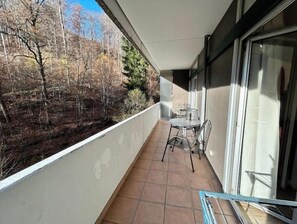 Property grounds - Riefenbach, Riefenbach (including bed linens) (Bad Harzburg)