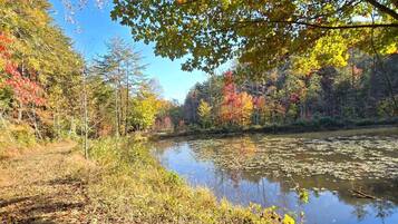 A natural landscape with a river, trees, and a clear sky.