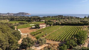A vineyard with rows of grapevines, a small building, and a coastal landscape in the background. - Between Vineyards & the Sea | Beaches Within Walking Distance | Air Conditioning & Wi-Fi (La Ciotat)