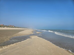 Beach - Apartment for rent in Bray-Dunes, on the seawall, facing the sea (Bray-Dunes)