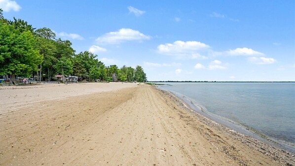 A sandy beach with a calm water body, trees, and a clear sky.