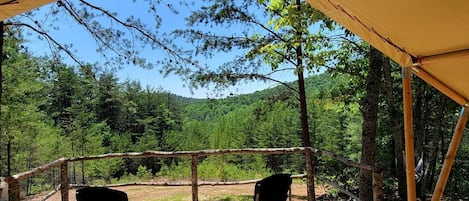 Un espacio al aire libre techado con dos sillas, rodeado de árboles y un paisaje boscoso.