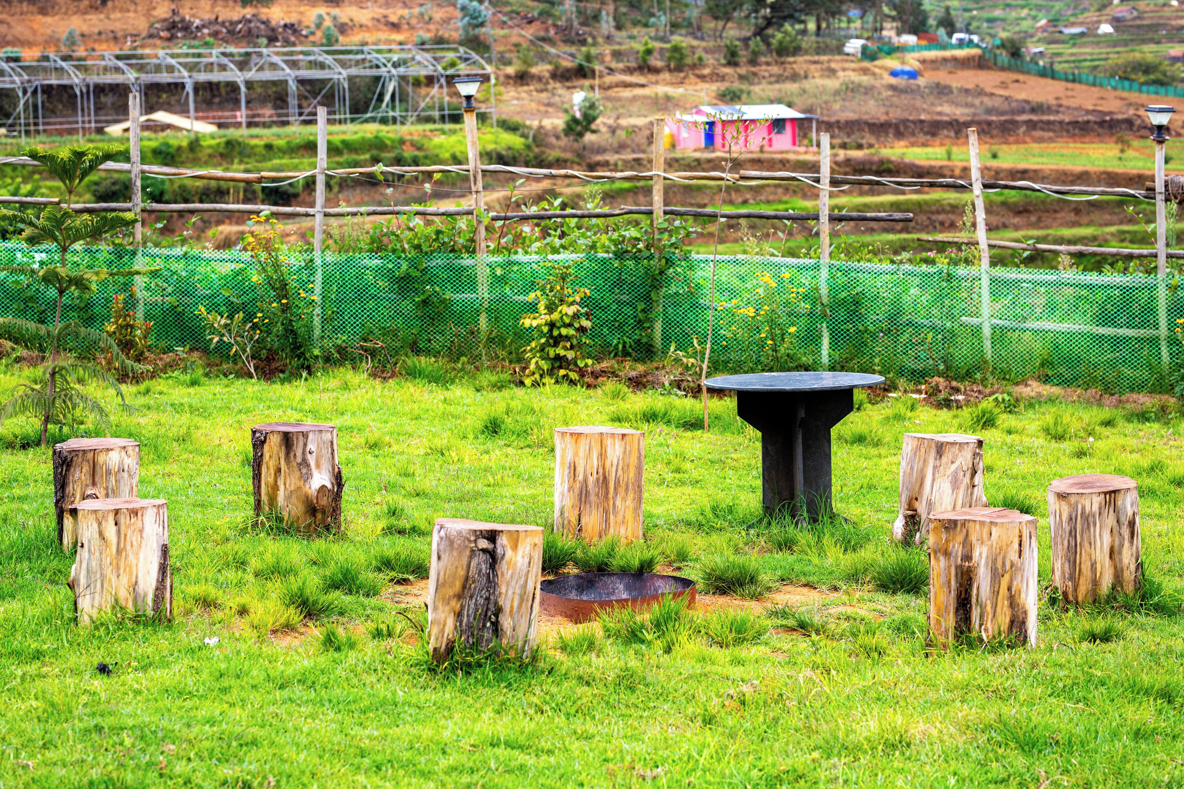 Garden