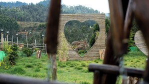 Una estructura con forma de corazón, superficie espejada, rodeada de una valla de bambú y follaje.