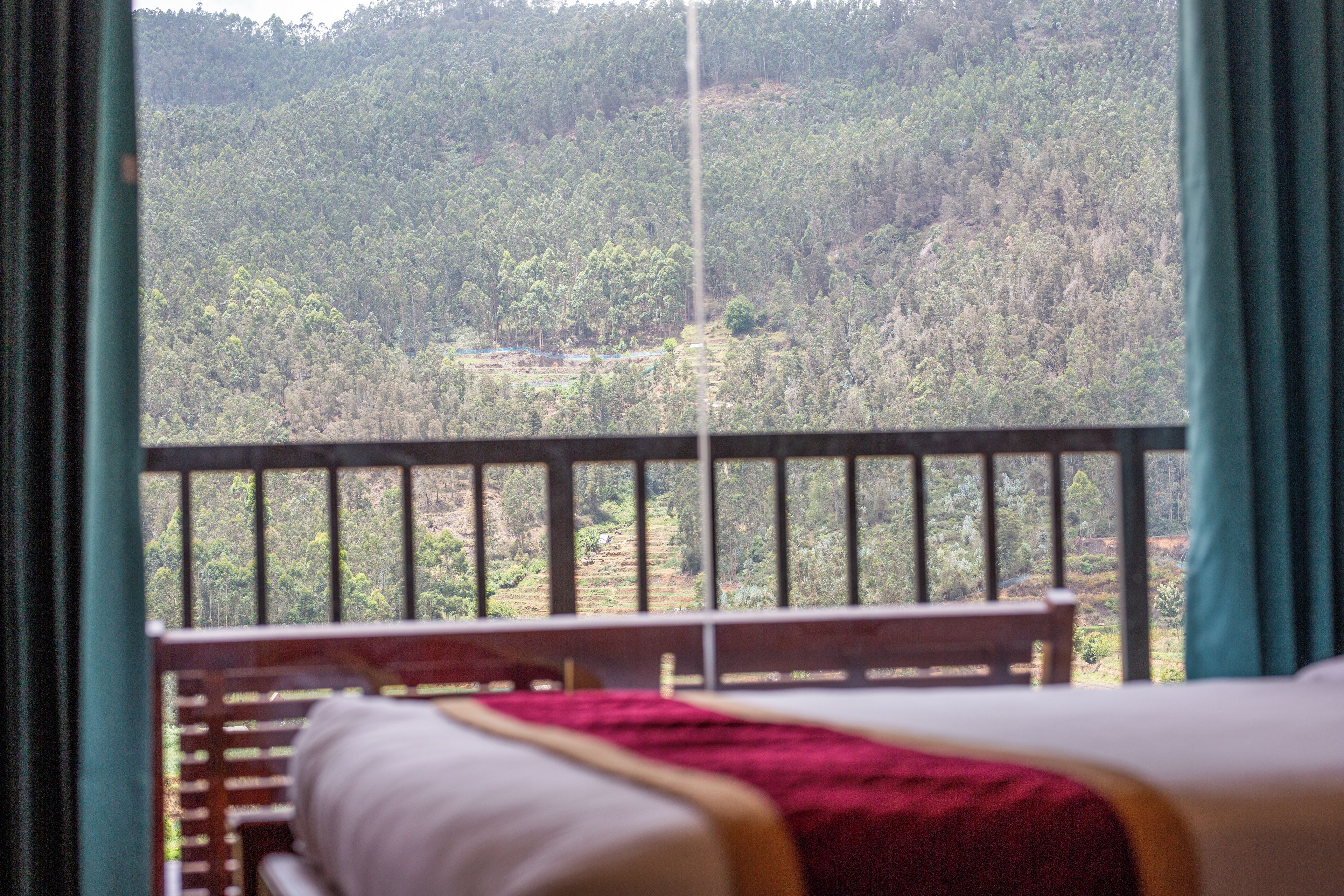 A room with a bed, a window with a view of a forested landscape.