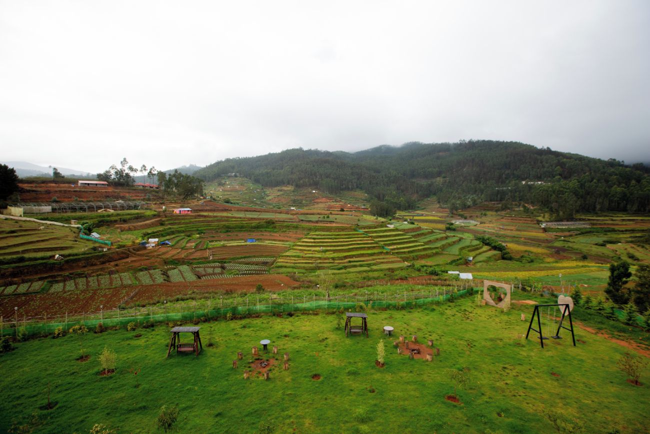 Terraced fields with a few structures and a hill in the background.