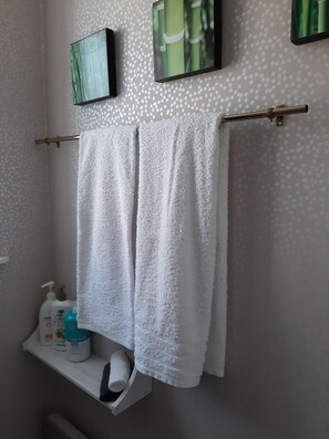 Shower, hair dryer, towels, soap - Vacation rental, a 3-star-rated furnished tourist accommodation, just outside Nevers, (Marzy)