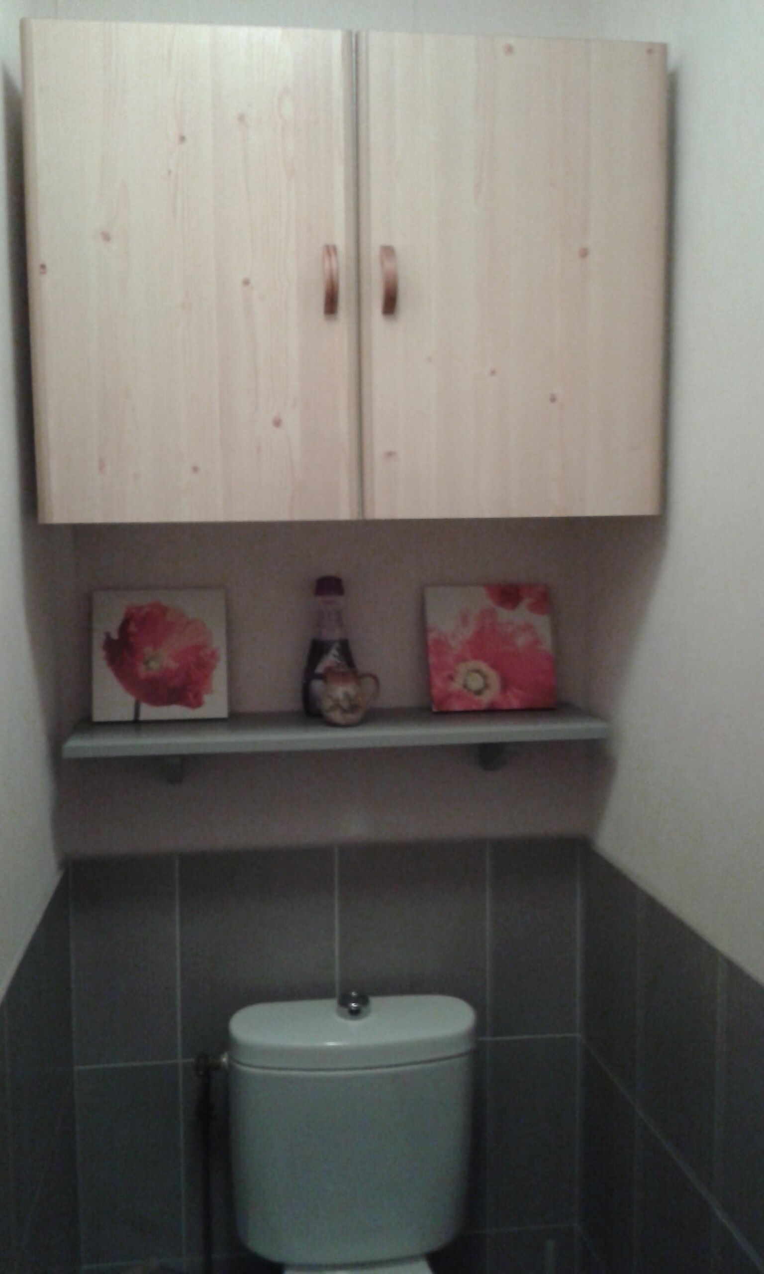 A bathroom with a toilet, a cabinet above it, and two shelves with artwork.