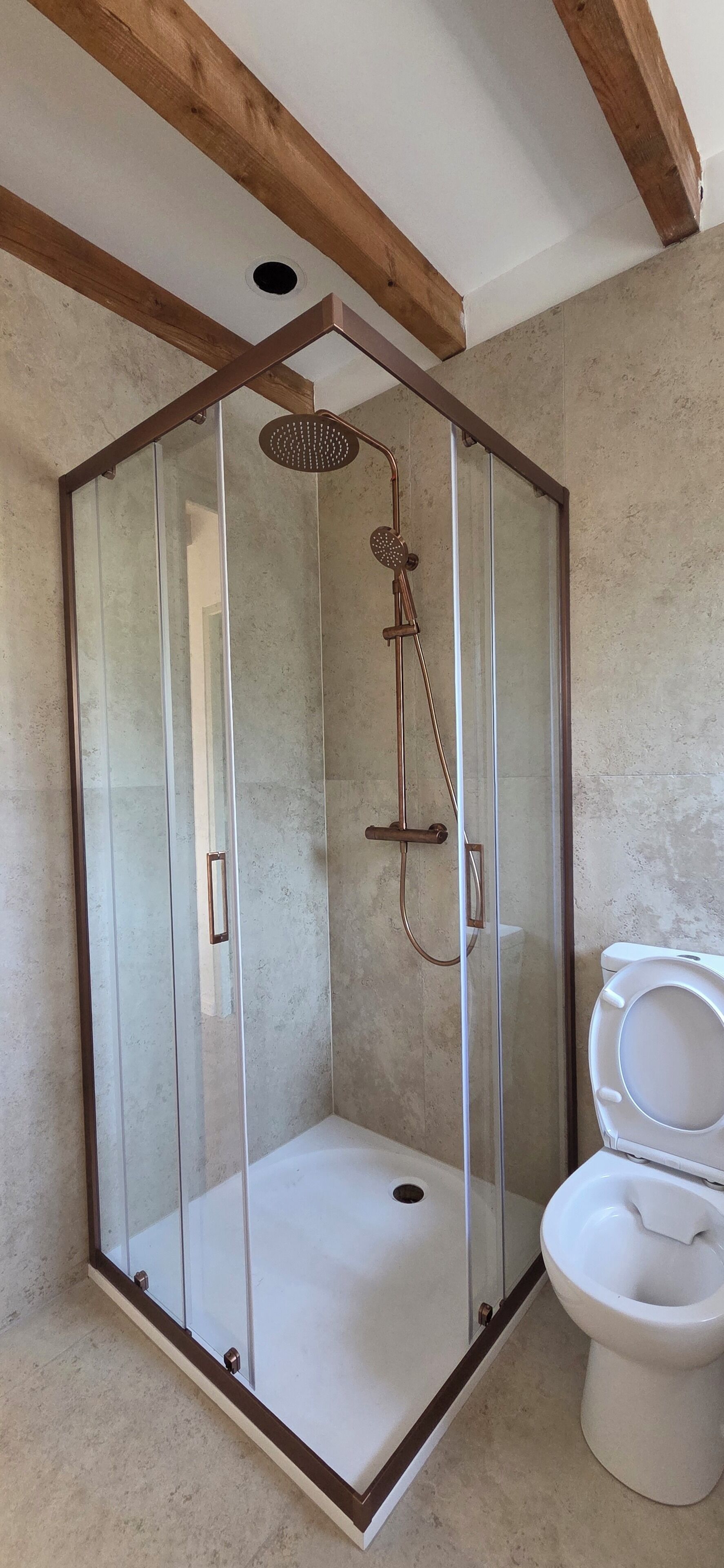 Eine Duschkabine mit Glastüren und Duschkopf, eine Toilette und Holzbalken an der Decke.