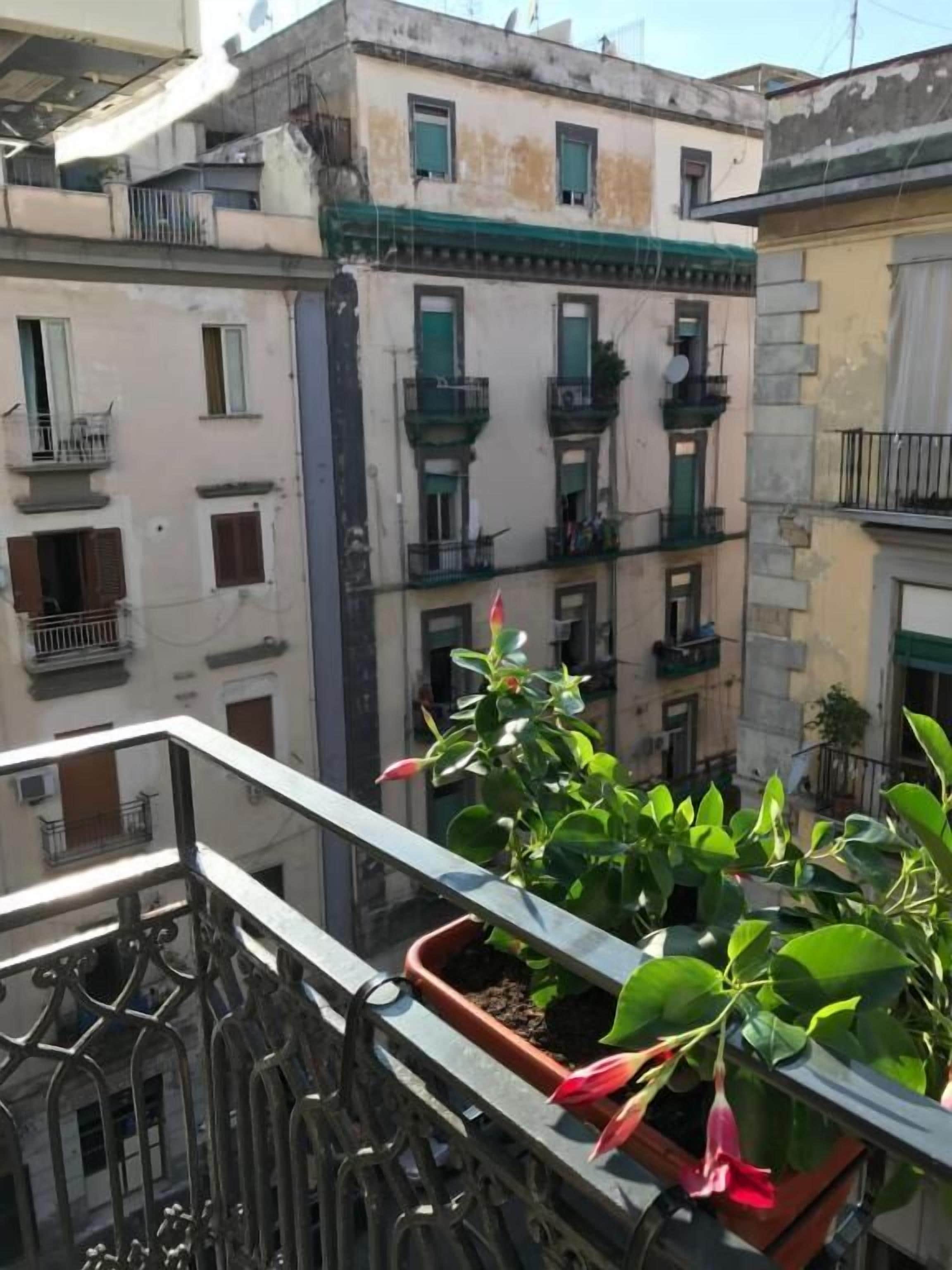 Junior Suite, Balcony, City View | Property grounds