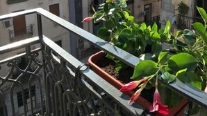 Junior Suite, Balcony, City View | Property grounds