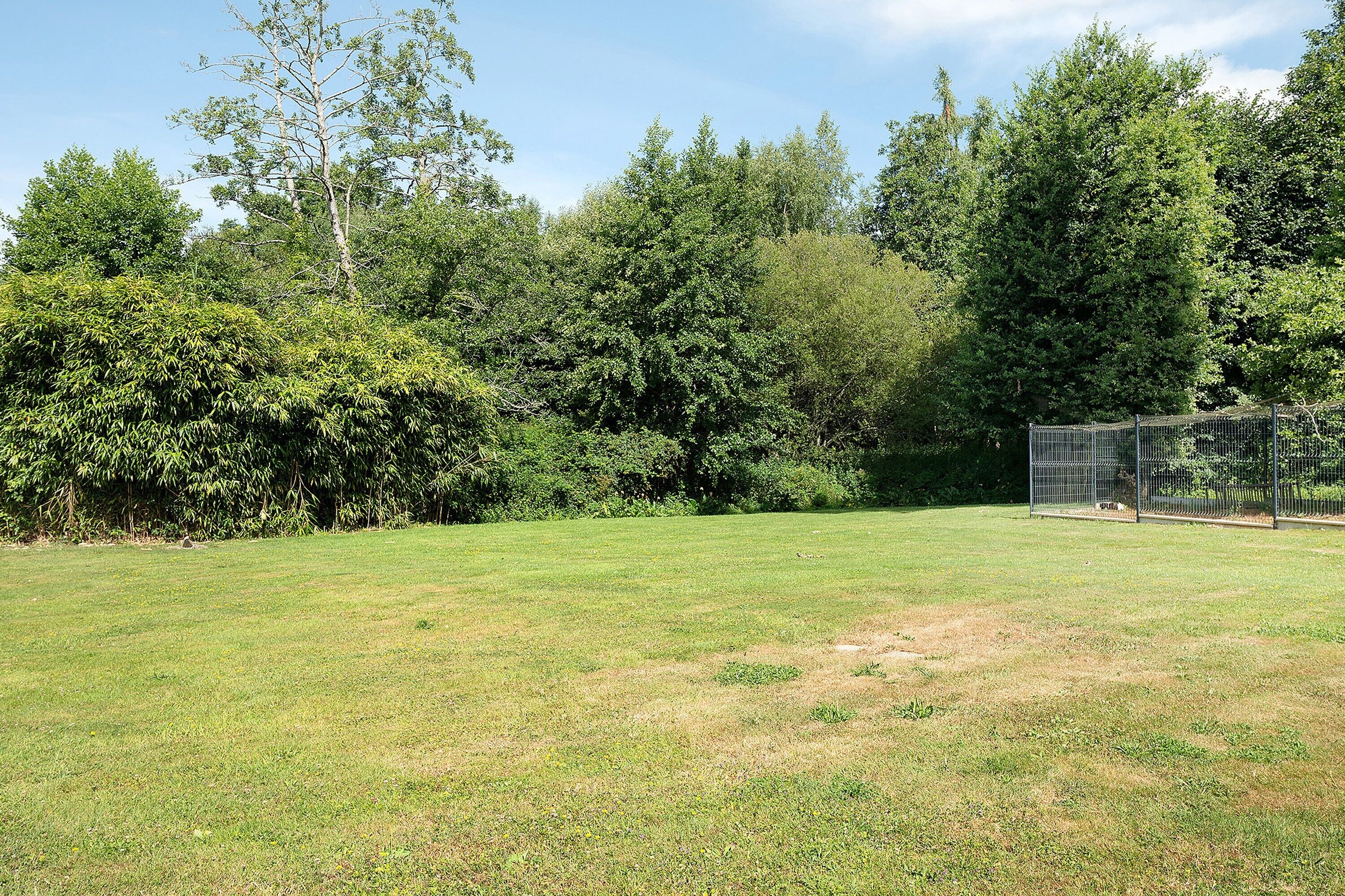 A grassy field with trees and a fenced area.