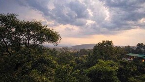 Un paisaje con follaje denso, un objeto rojo en el suelo y un cielo nublado.