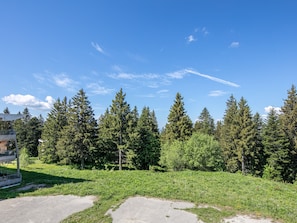A clear sky, dense forest, and a paved area with a building in the background. - Family apartment with a balcony and a view of the mountains (Chamrousse)