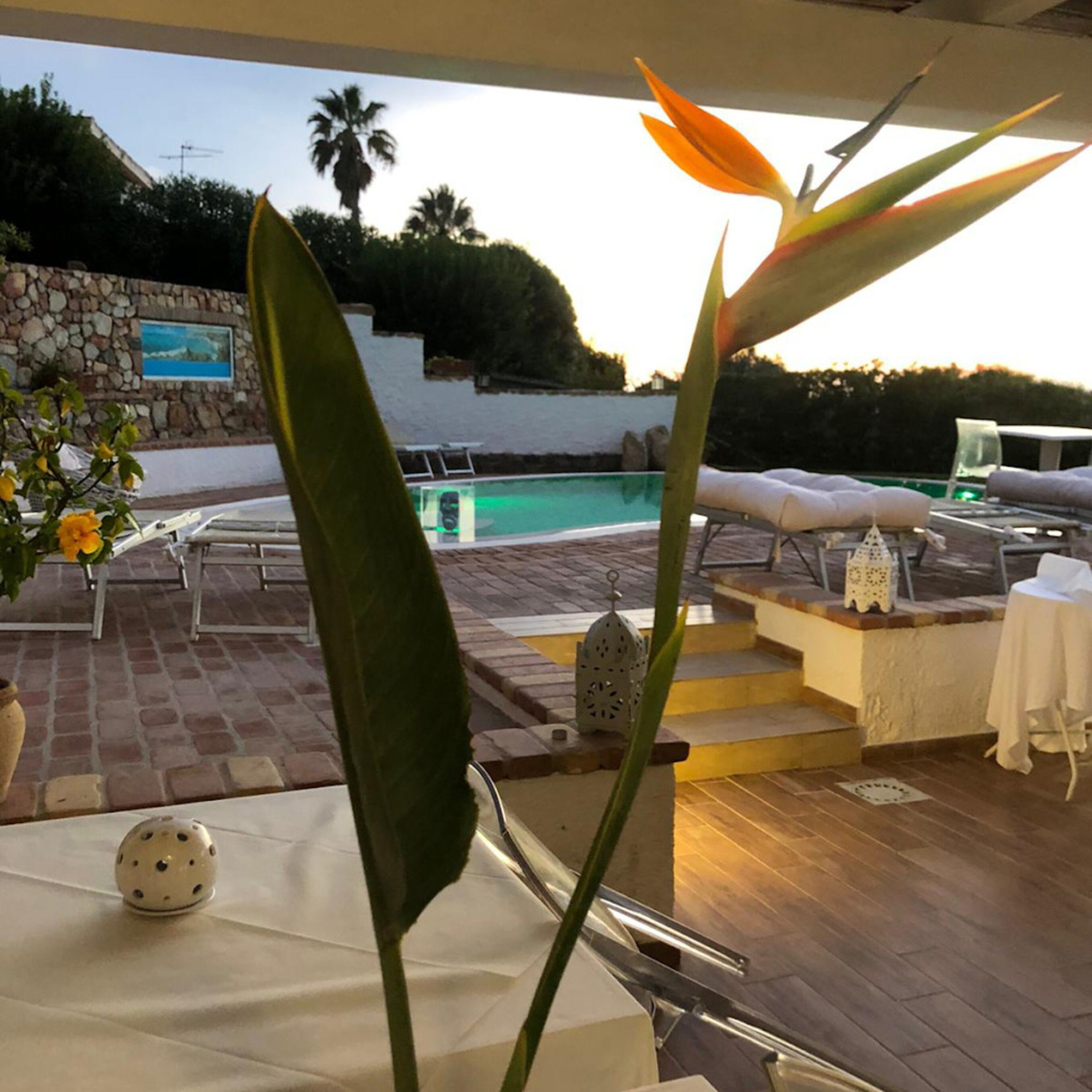 A poolside area with lounge chairs, a table with a decorative item, and a staircase leading to a pool.