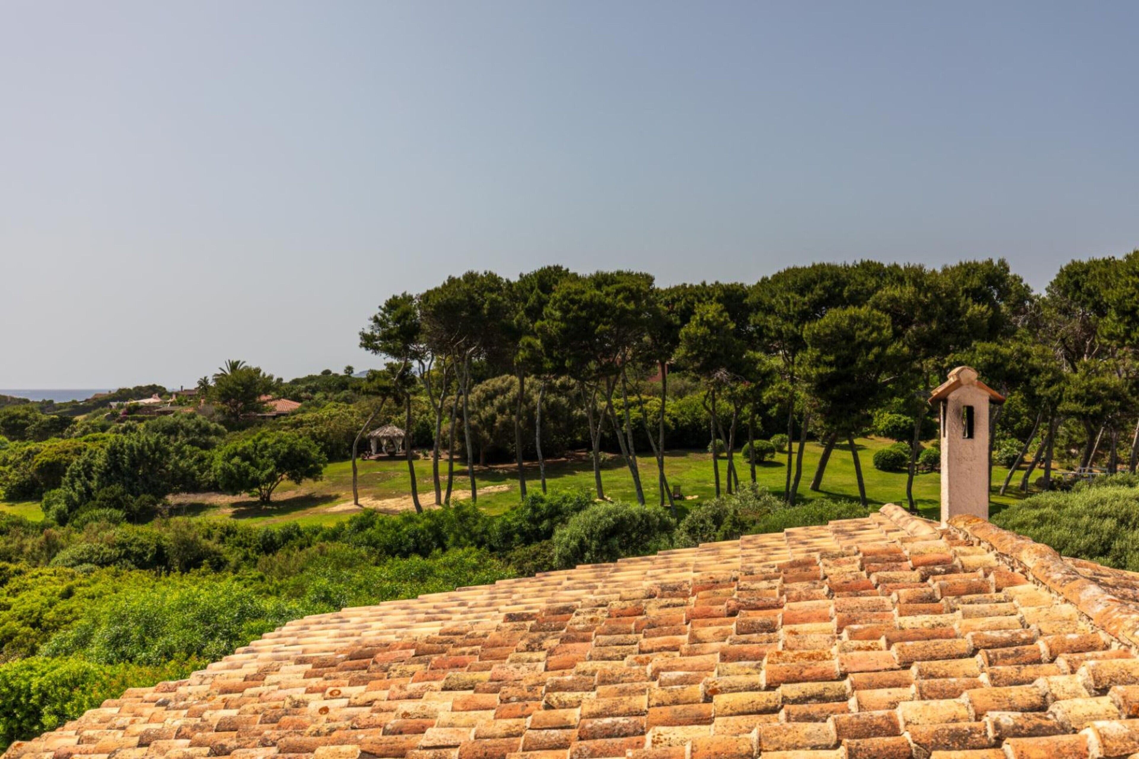 Un tetto in tegole di terracotta, un campanile e un paesaggio verdeggiante.