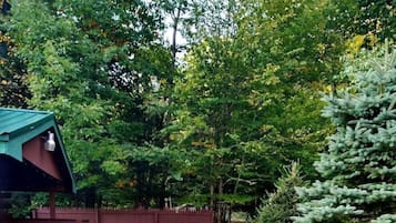 Terras
