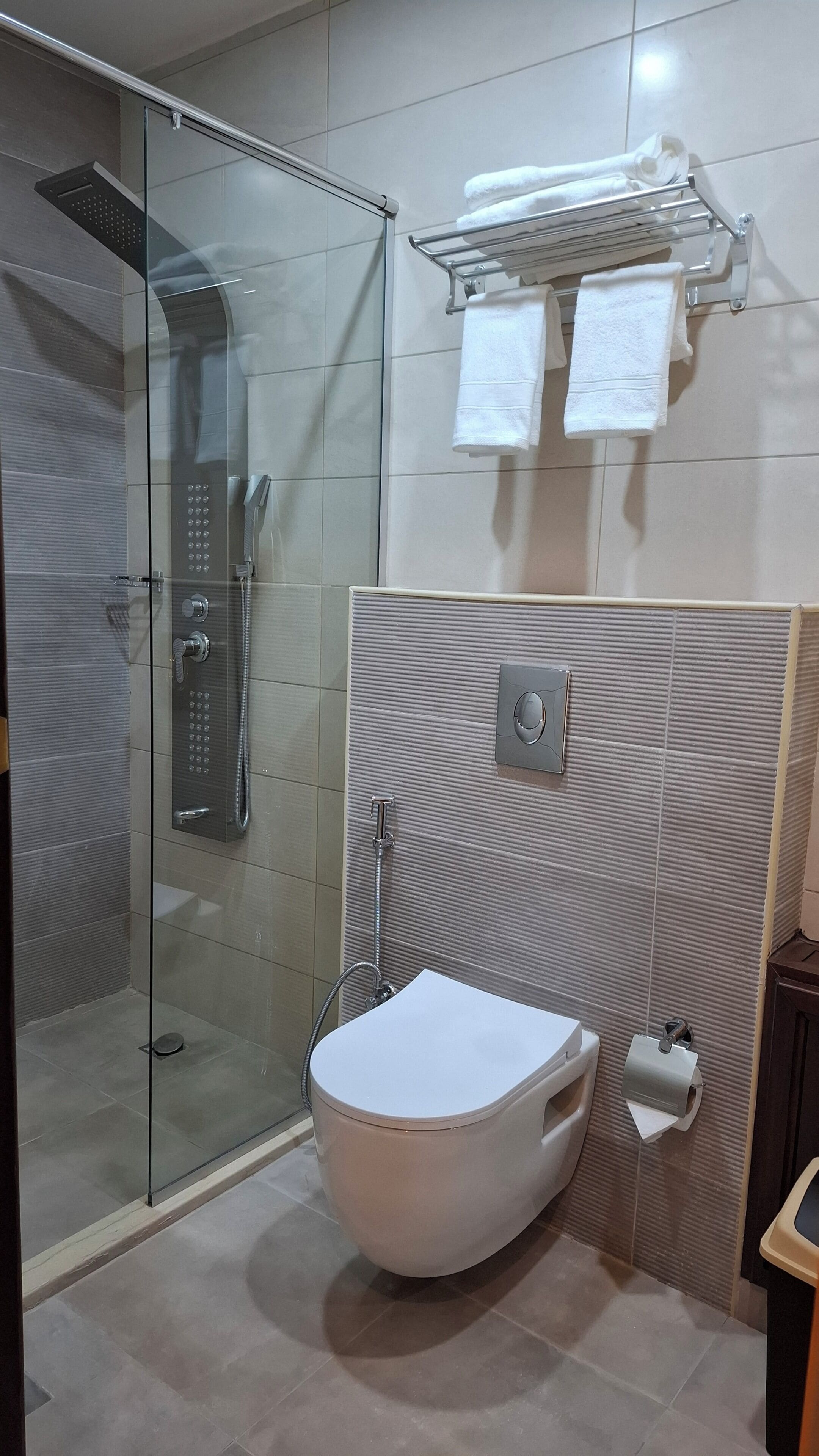 A modern bathroom with a glass-enclosed shower, a white toilet, and a towel rack.
