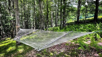 A hammock in a forested area with trees and ferns around.