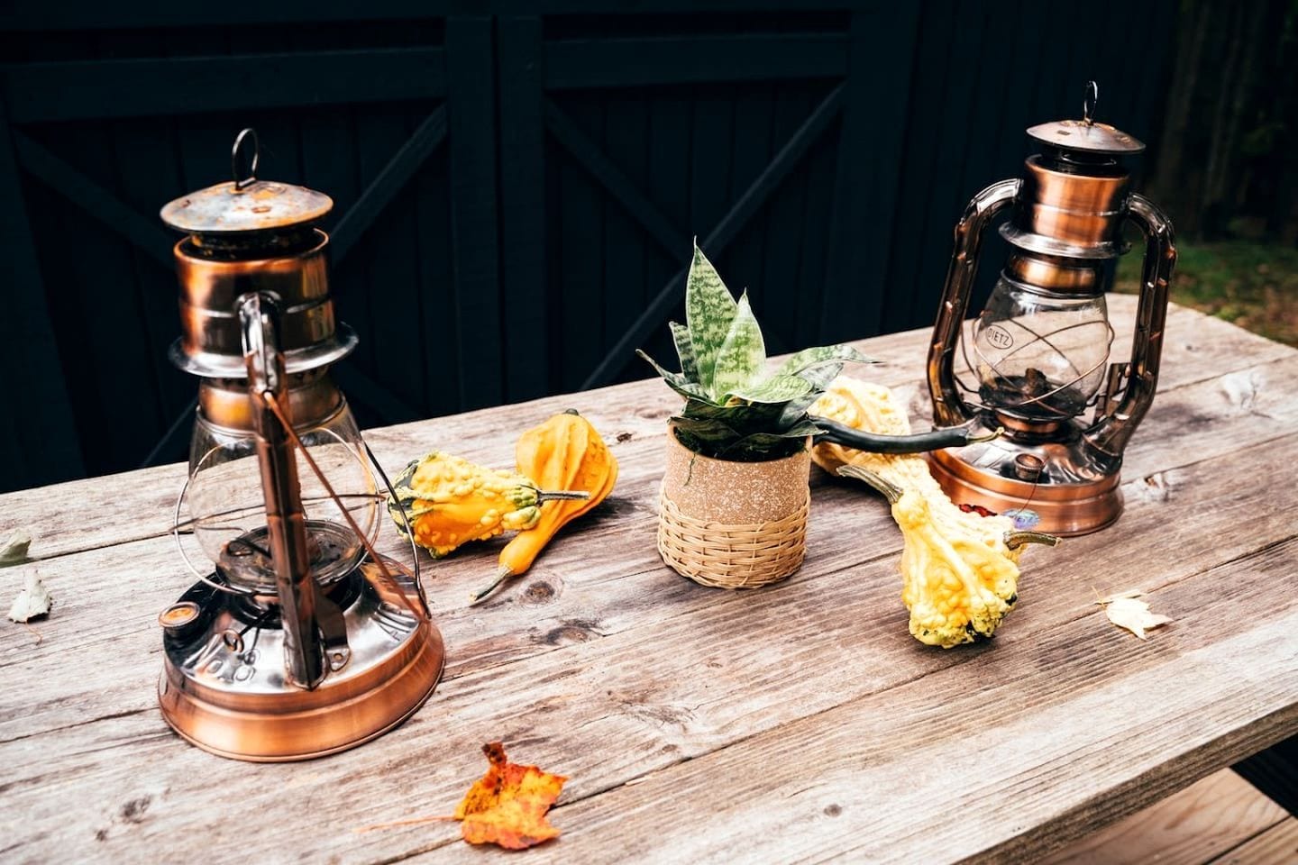 Uma mesa de madeira rústica com duas lanternas de cobre, um vaso de planta e abóboras.
