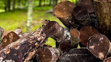 A stack of cut logs in a forested area.