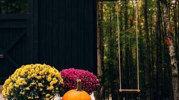 A wooden deck with a black shed in the background, surrounded by trees with autumn foliage.