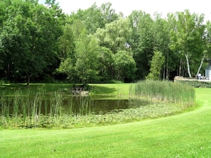 Terrain de l’hébergement 