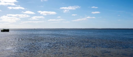 ビーチの近く、サーフィン、釣り