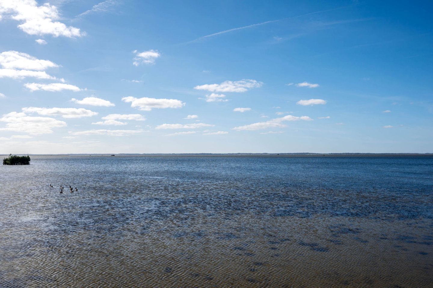 Plage à proximité, surf, pêche sur place
