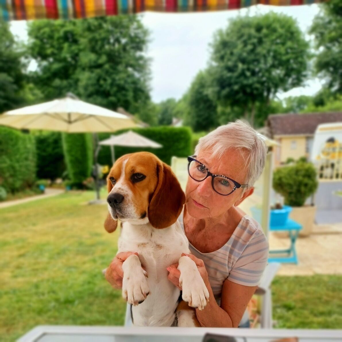 A person holding a dog in an outdoor setting with a lawn, a patio umbrella, and a building in the background.