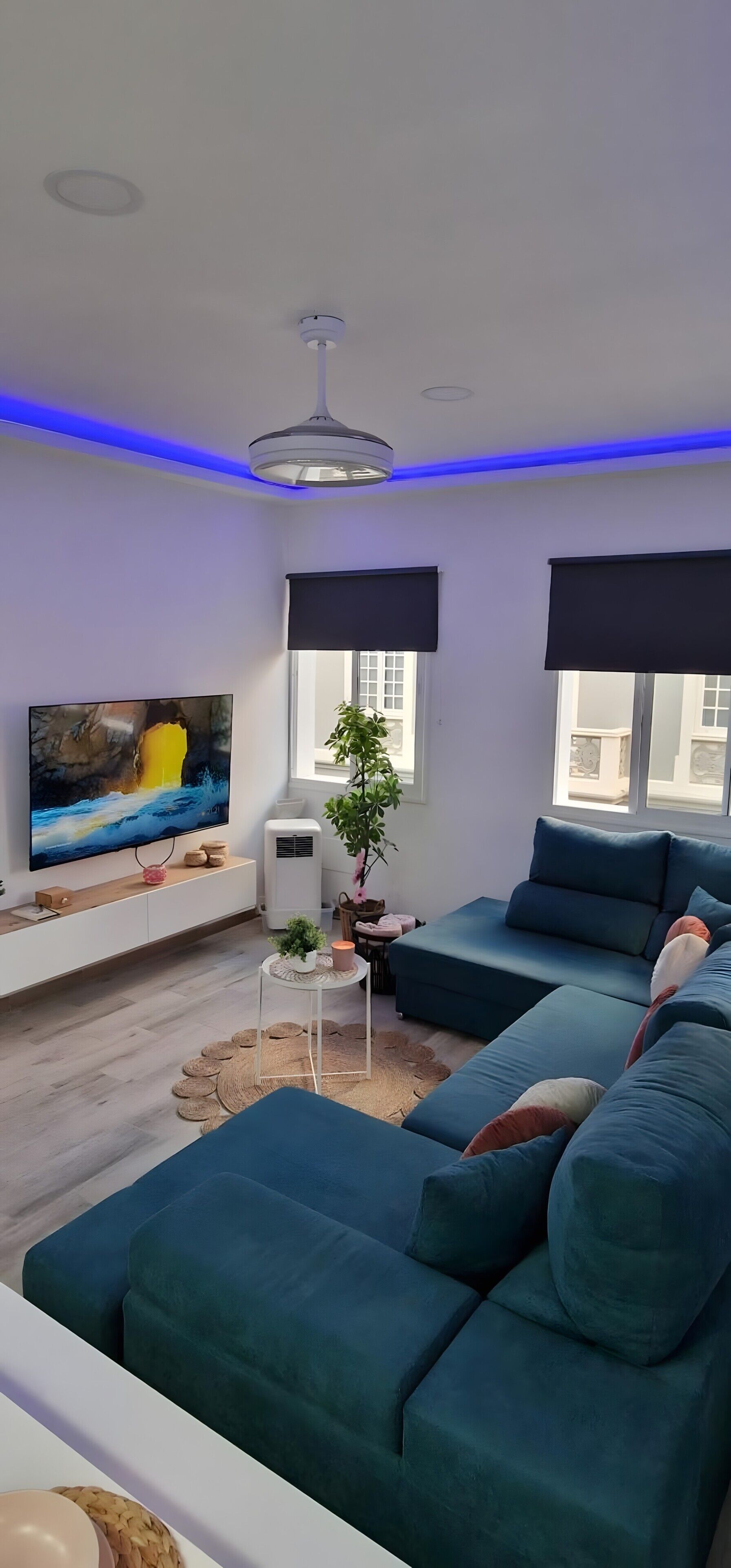 TV