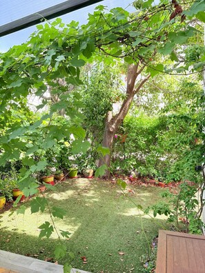 Ein Garten mit Baum, Topfpflanzen und einer Holzterrasse.