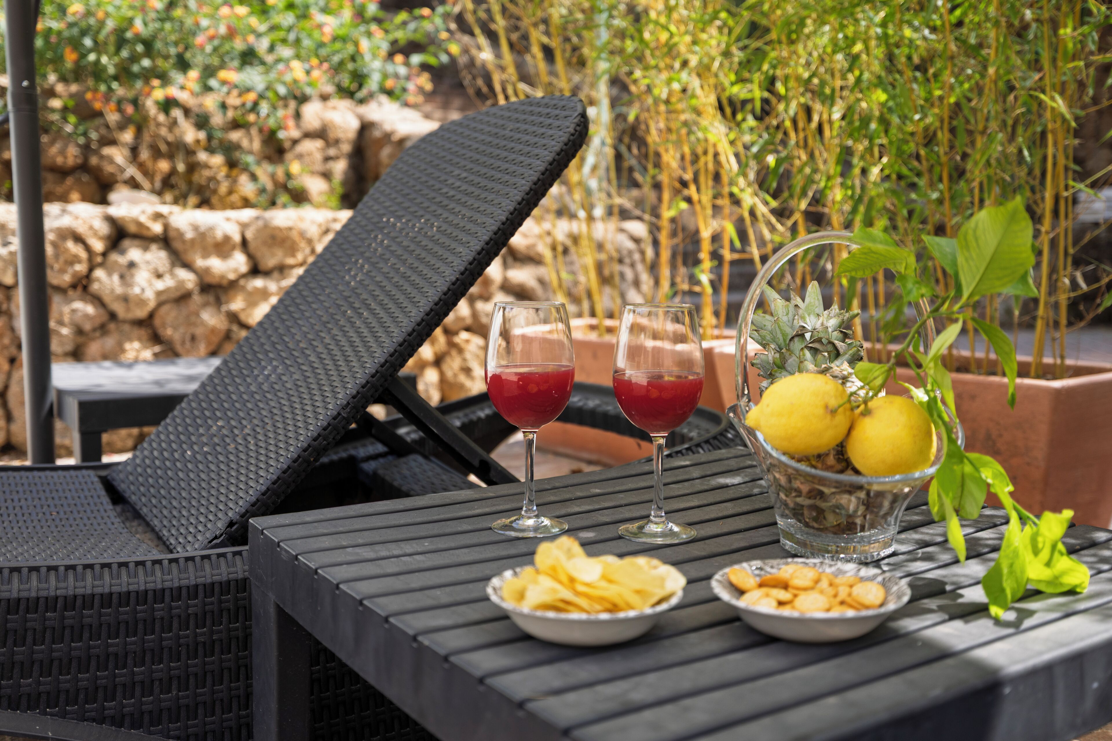 A table with two glasses of red drink, a bowl of chips, a plate with nuts, and a glass with lemons and a pineapple.