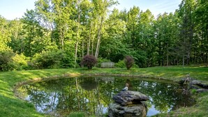 A pond surrounded by lush greenery and trees, with a wooden bridge and a person sitting on a rock. - Rustic Retreat with Private Pond, Gazebo & Creek in Andes, New York (Andes)