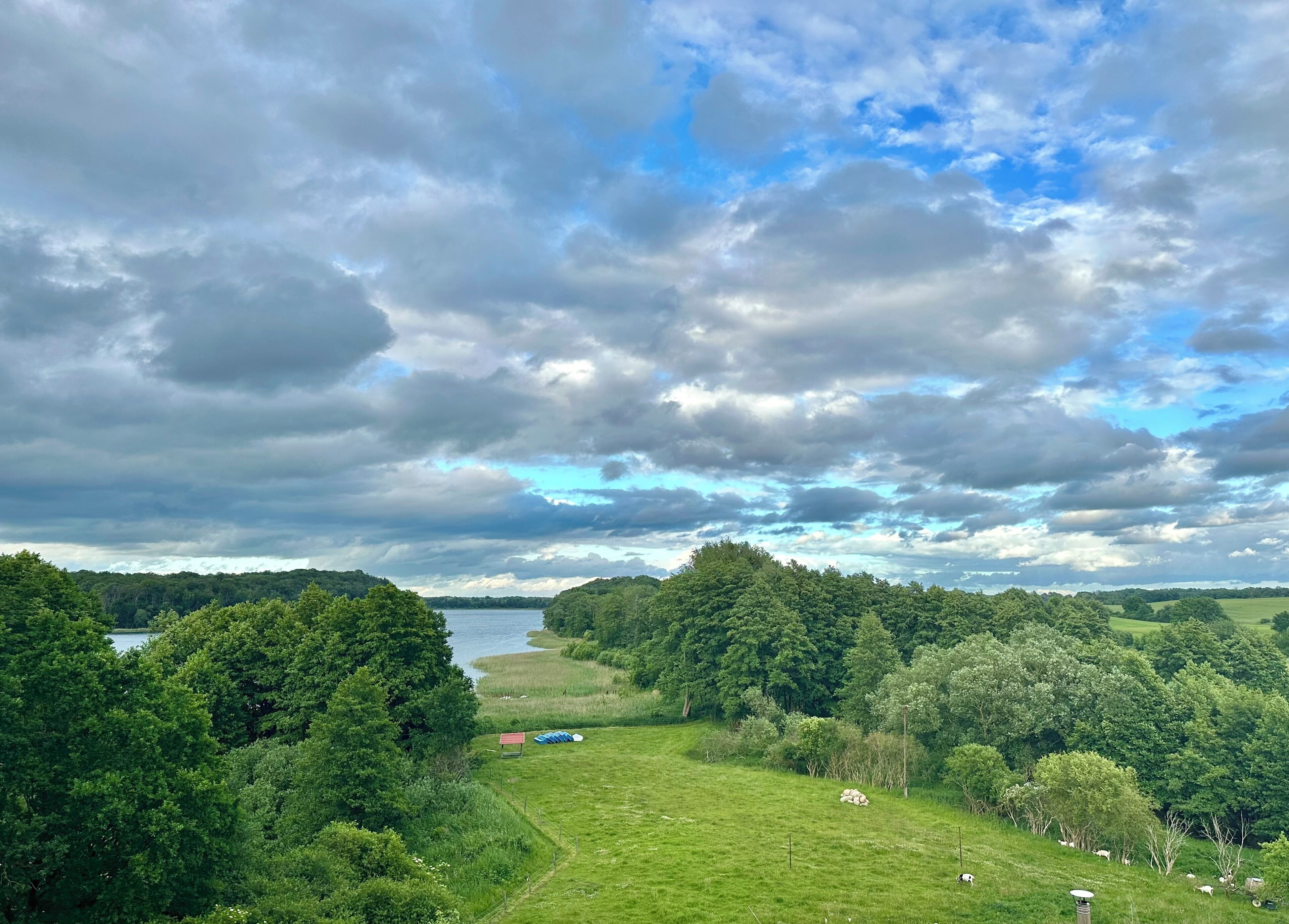 A landscape with a lake, dense trees, and a grassy area with a small structure.