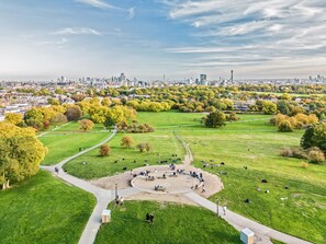 Aerial view - Super central, Marble Arch. En-suite large and light bedroom in a shared house (London)