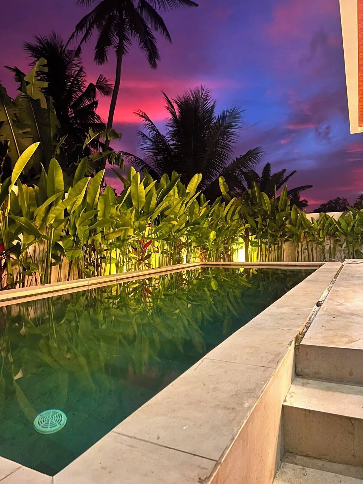 A swimming pool with a clear water surface, surrounded by lush green foliage and palm trees, under a twilight sky.