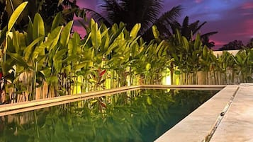 Una piscina con superficie de agua cristalina, rodeada de exuberante follaje y palmeras, bajo un cielo crepuscular.