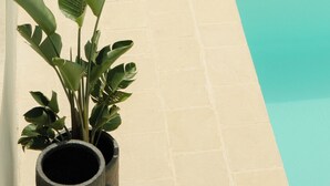 Una piscina con borde de azulejos, plantas en macetas y una pared.