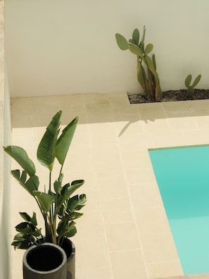 Ein Pool mit Fliesenrand, Kübelpflanzen und einer Wand.