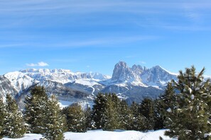 Eine gebirgige Landschaft mit schneebedeckten Gipfeln und Kiefern.