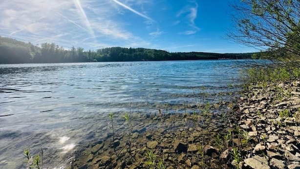A clear lake with a rocky shoreline and trees in the background.