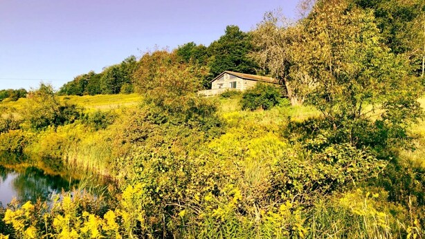 A house surrounded by dense vegetation and a body of water. - Peaceful Cabin Retreat with Mountain Views & Private Acreage in Hamden, New York (Hamden)