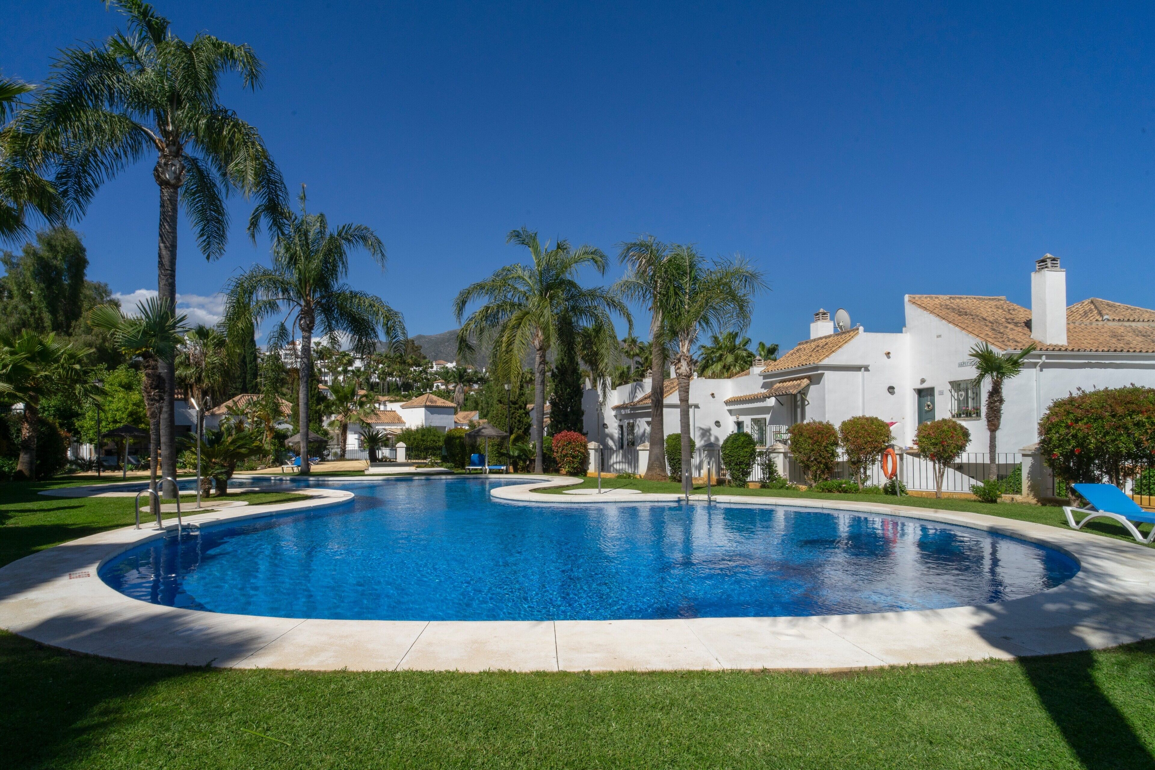 Piscina de borde curvo, rodeada de palmeras y un edificio blanco con techo de tejas.